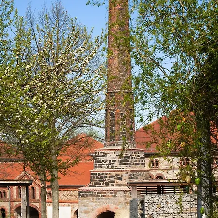 Architektenwohnung Mit Privatsauna, Whirlwanne, Kaminofen Und Noch Viel Mehr Großharthau
